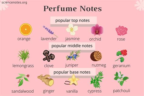 perfume formula database|perfume search by notes.